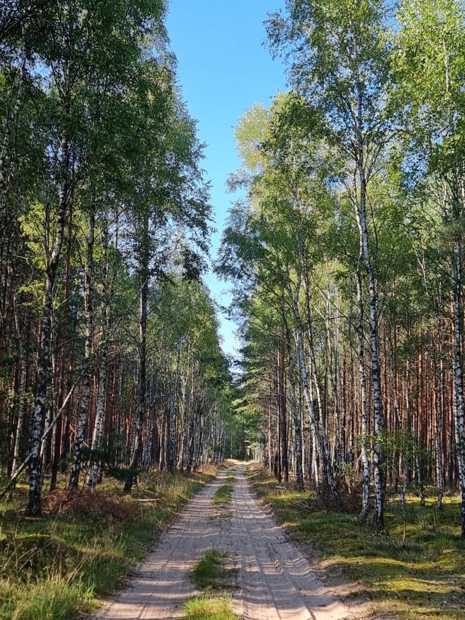 Apartament Fryderyk Lagow Luaran gambar